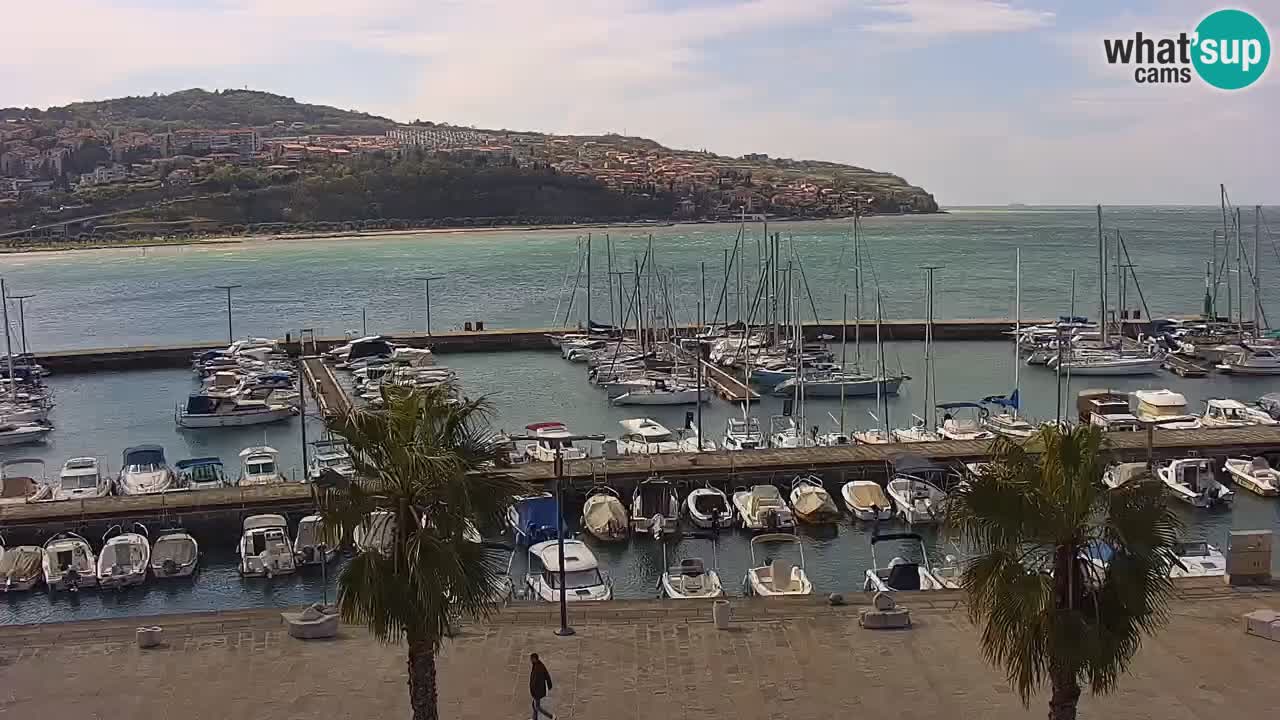 Spletna kamera Koper – Panorama na marino in promenado s Hotela Grand Koper