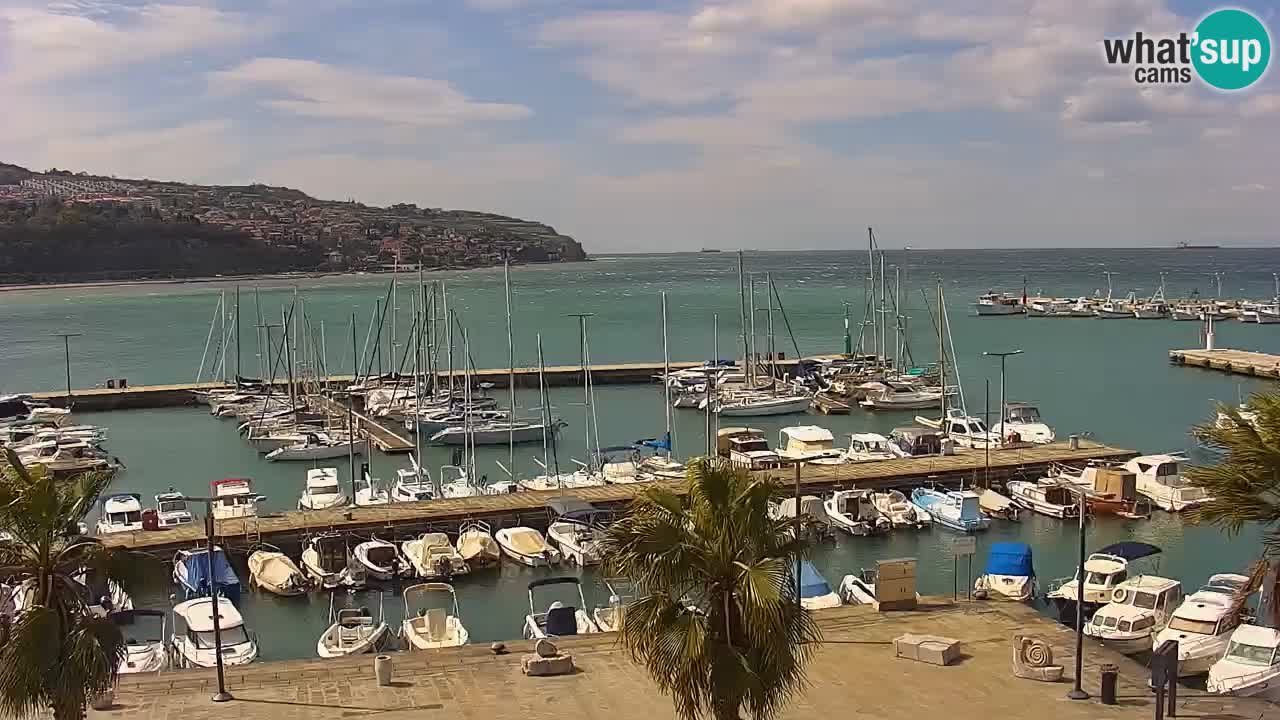 Camera en vivo Koper – puerto deportivo y paseo marítimo desde el Hotel Grand Koper