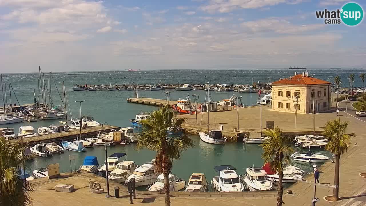 Spletna kamera Koper – Panorama na marino in promenado s Hotela Grand Koper