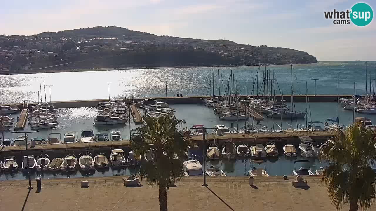 Spletna kamera Koper – Panorama na marino in promenado s Hotela Grand Koper