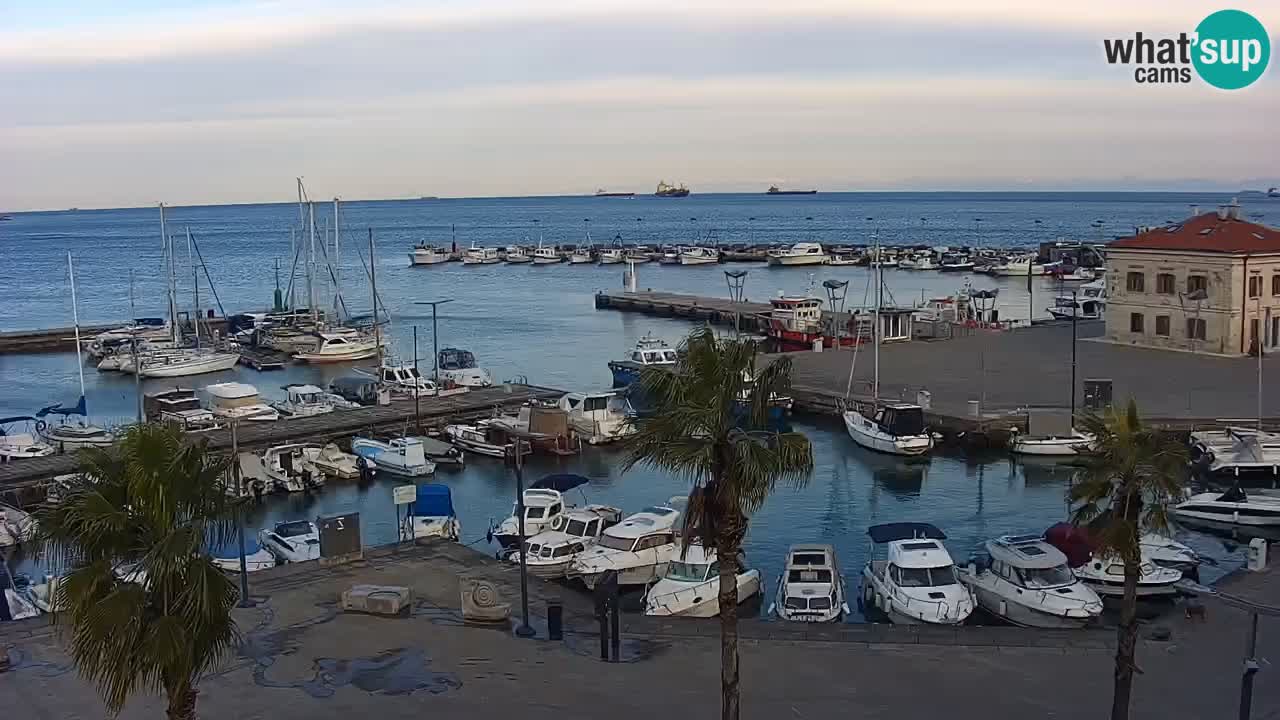 Webcam Koper – Panorama of the marina and promenade from the Grand Hotel Koper