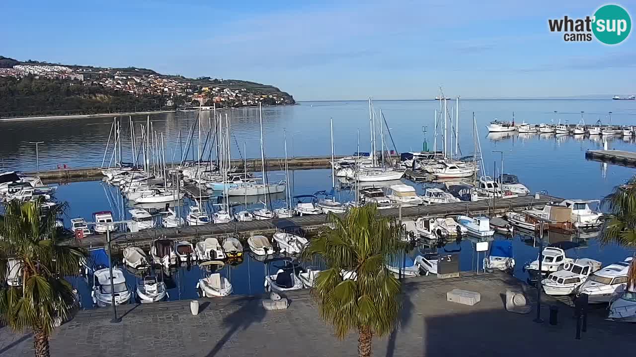 Webcam Koper – Panorama of the marina and promenade from the Grand Hotel Koper