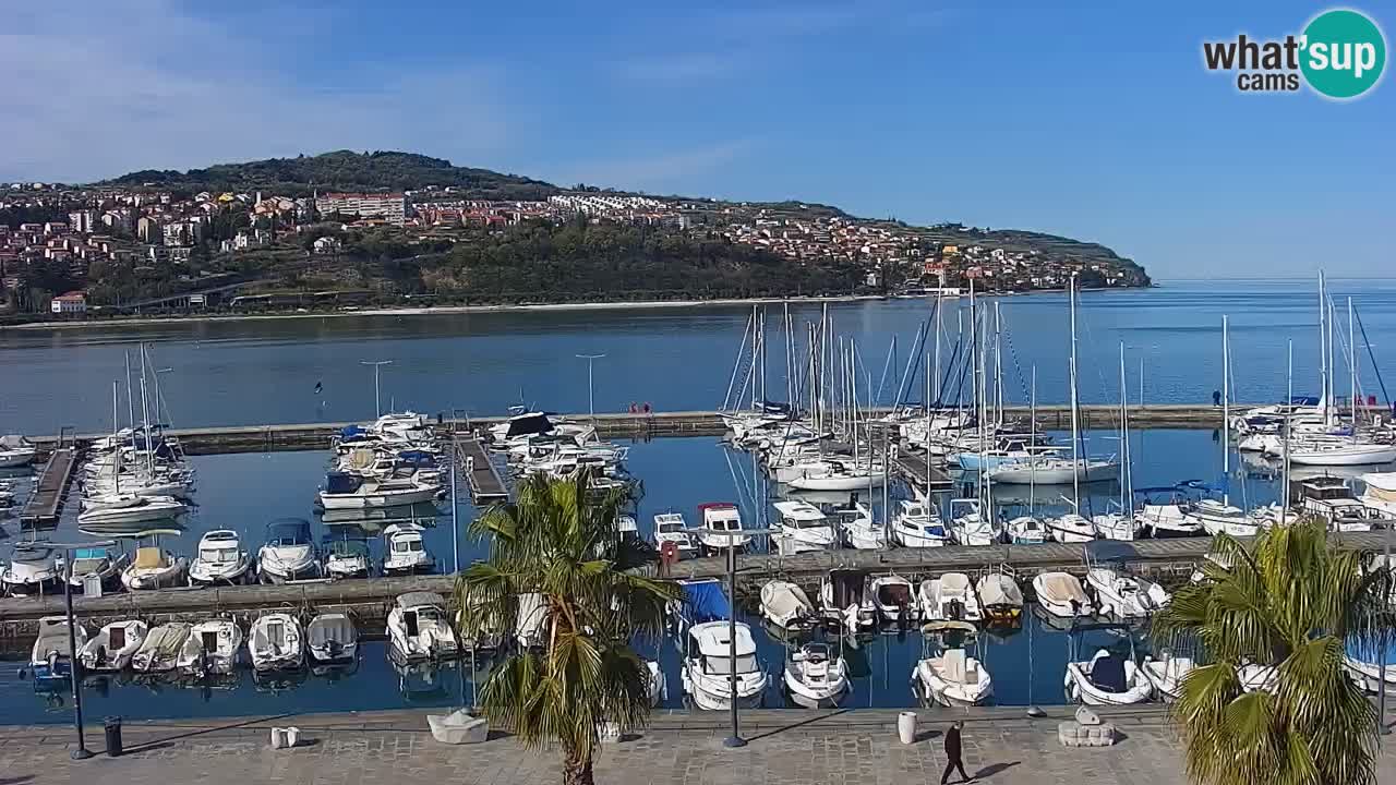 The Port of Koper live webcam – cruise and cargo port – Slovenia