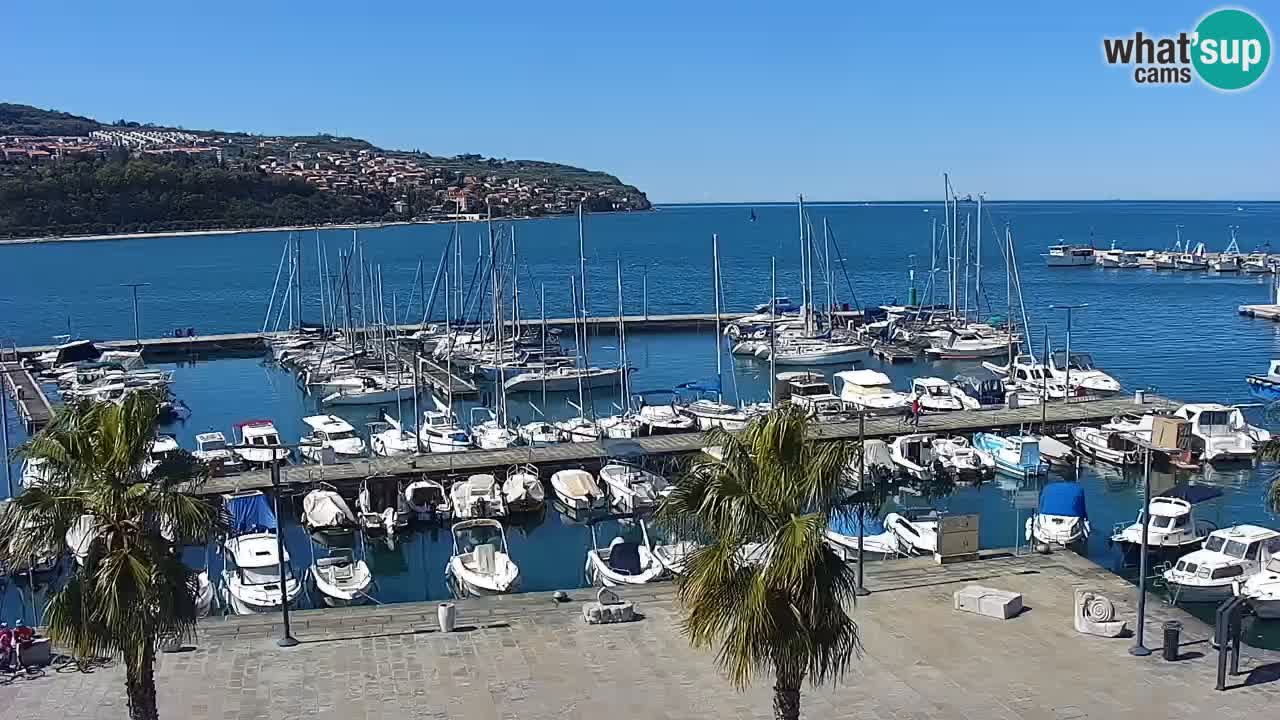 Spletna kamera Koper – Panorama na marino in promenado s Hotela Grand Koper