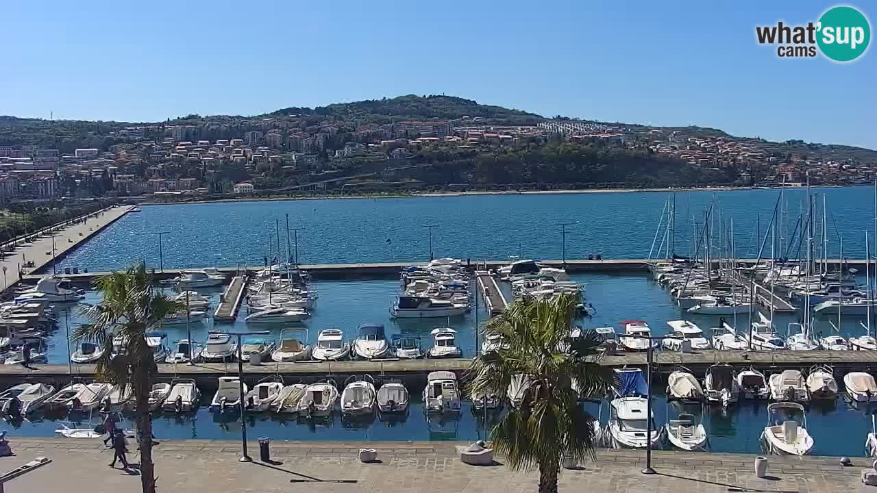 Camera en vivo Koper – puerto deportivo y paseo marítimo desde el Hotel Grand Koper