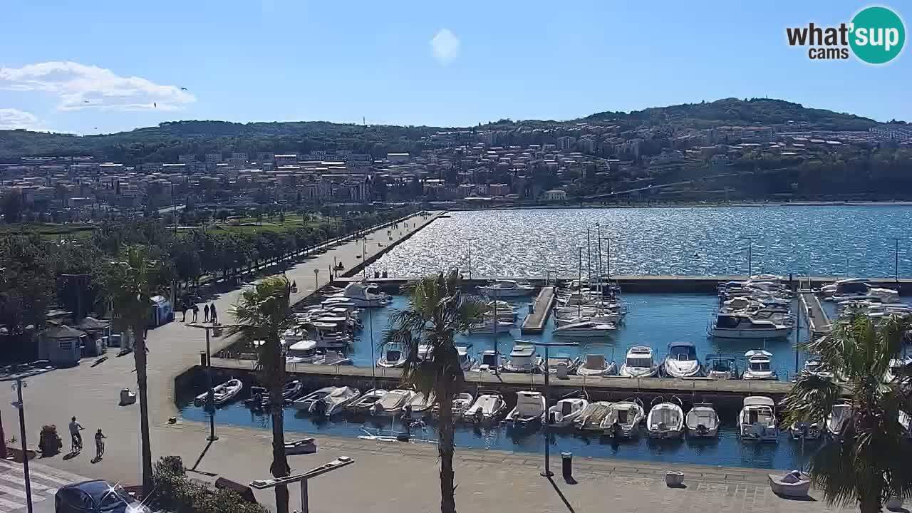 Webcam en direct du port de Koper – port de croisière et de fret – Slovénie