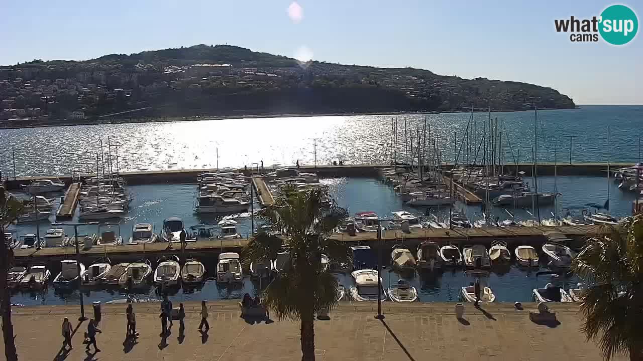 Web kamera Koper – marina i promenada – hotel Grand Koper