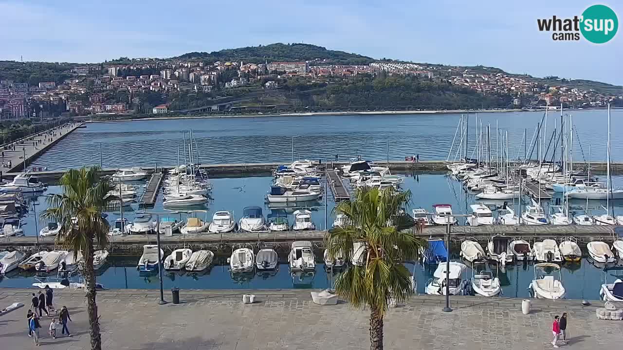 Webcam Koper – Panorama des Jachthafens und der Promenade vom Hotel Grand Koper