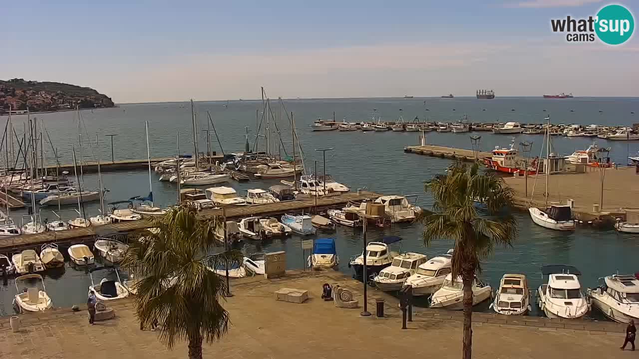 Webcam Koper – Panorama of the marina and promenade from the Grand Hotel Koper