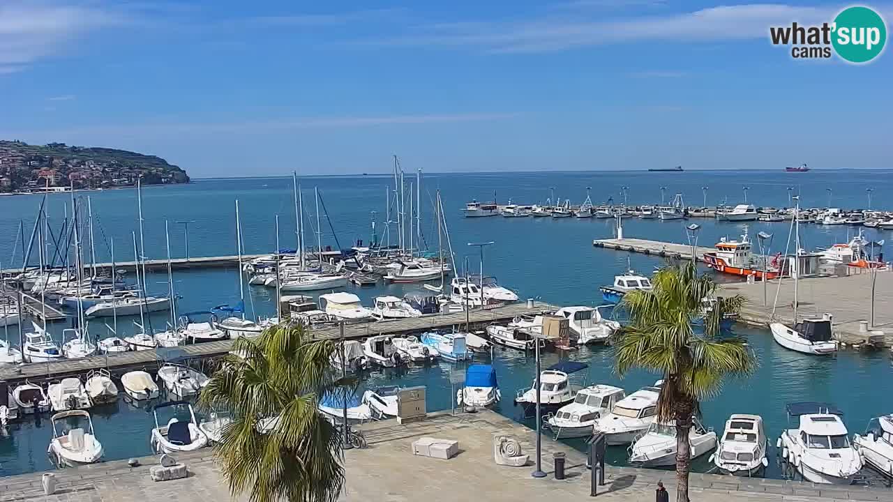 Spletna kamera Koper – Panorama na marino in promenado s Hotela Grand Koper