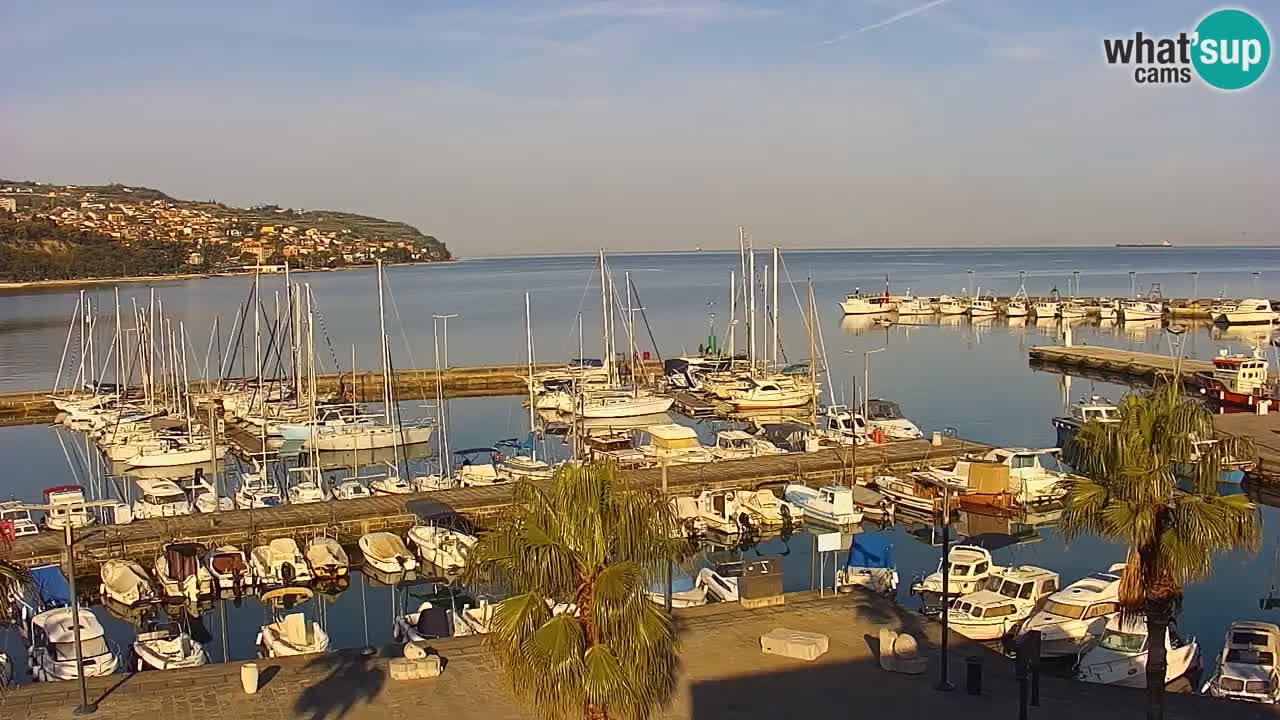 Webcam Koper – Panorama de la marina et de la promenade depuis le Grand Hotel Koper