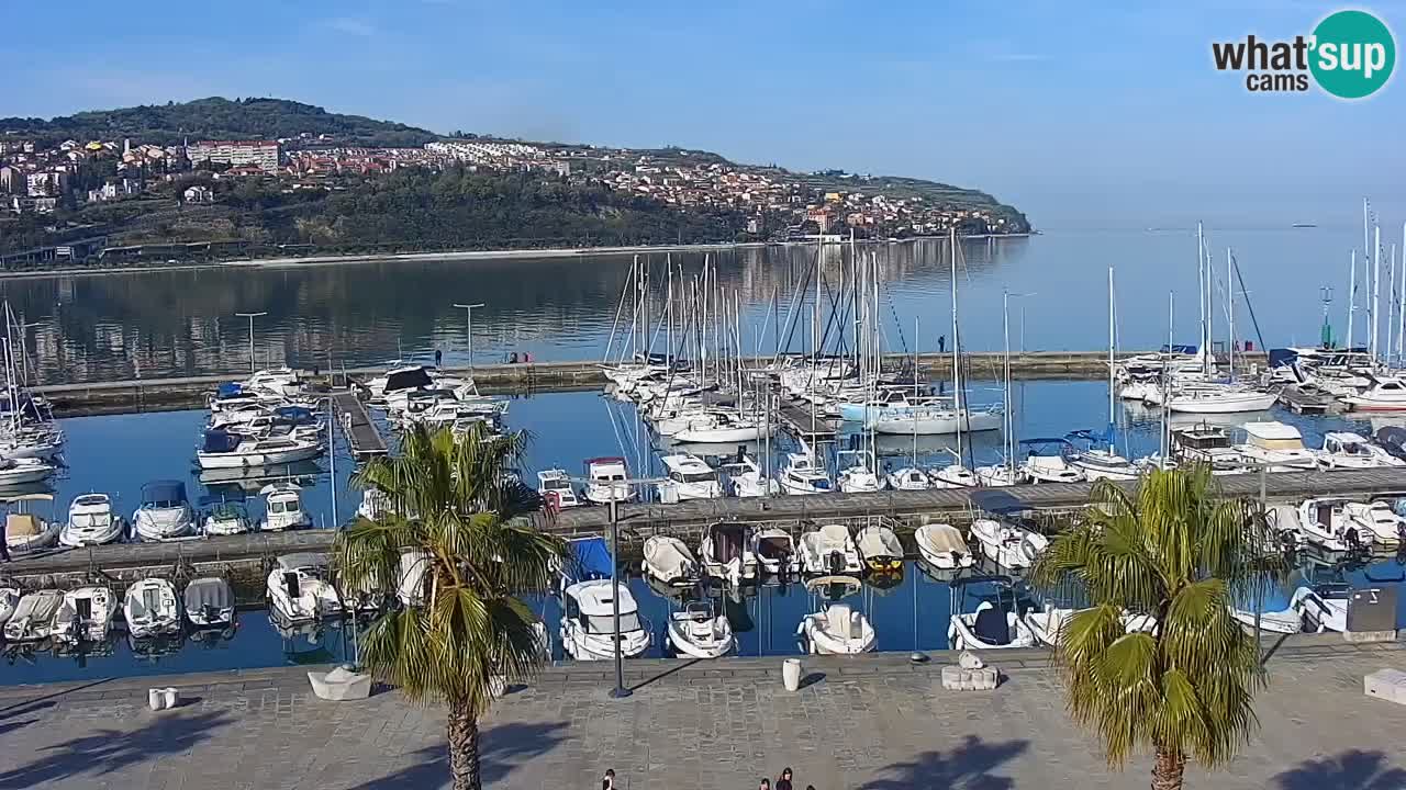 Webcam Koper – Panorama des Jachthafens und der Promenade vom Hotel Grand Koper