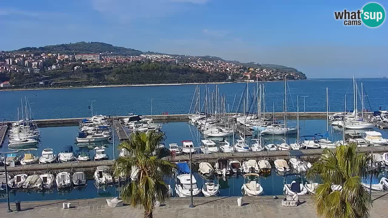 Webcam Koper – Panorama des Jachthafens und der Promenade vom Hotel Grand Koper