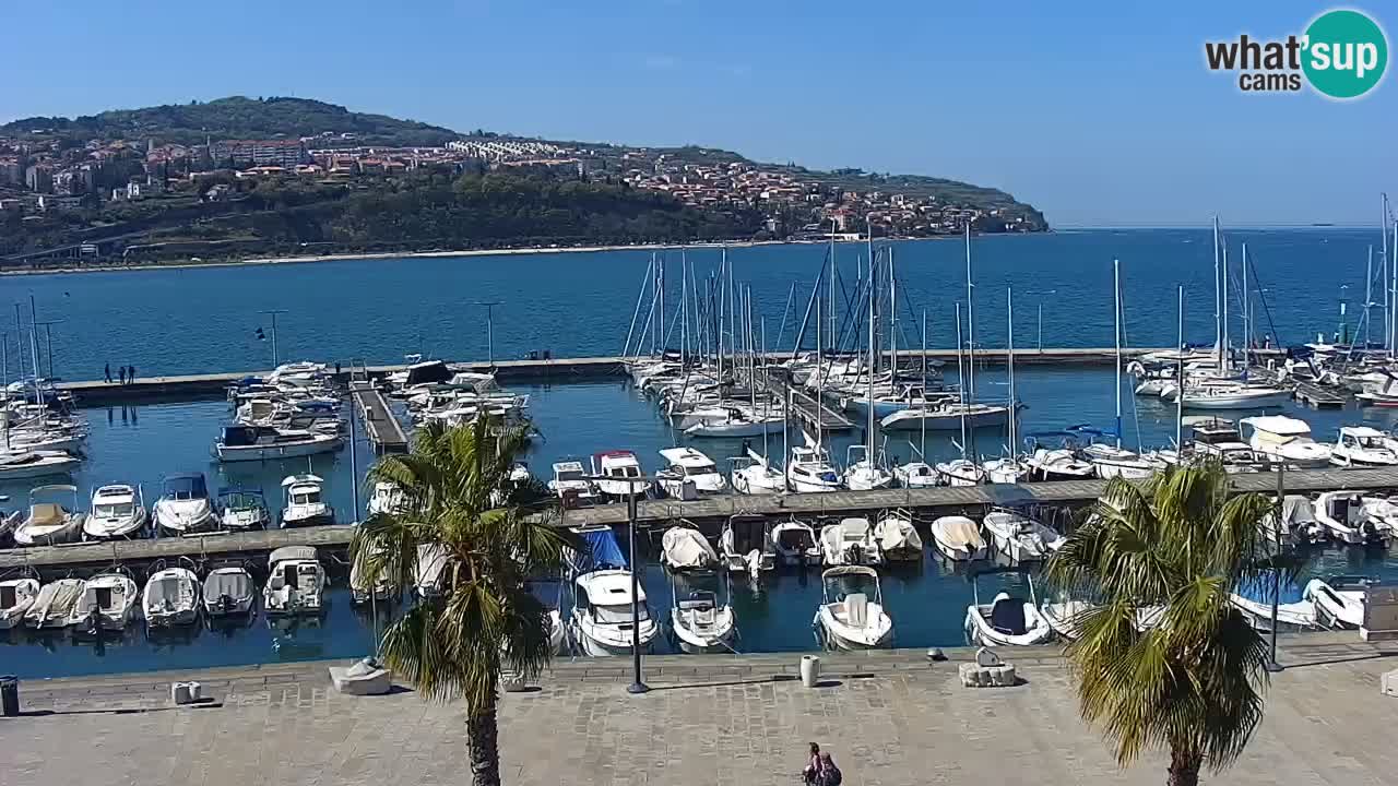 Webcam Capodistria – marina e lungo mare dall’Hotel Grand Koper