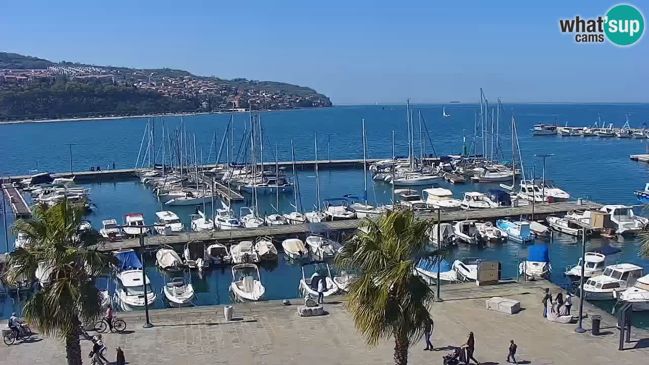 Webcam Koper – Panorama de la marina et de la promenade depuis le Grand Hotel Koper