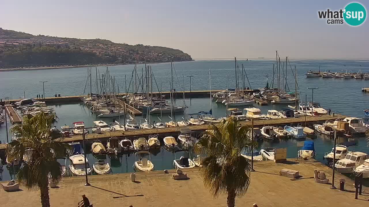 Webcam Capodistria – marina e lungo mare dall’Hotel Grand Koper