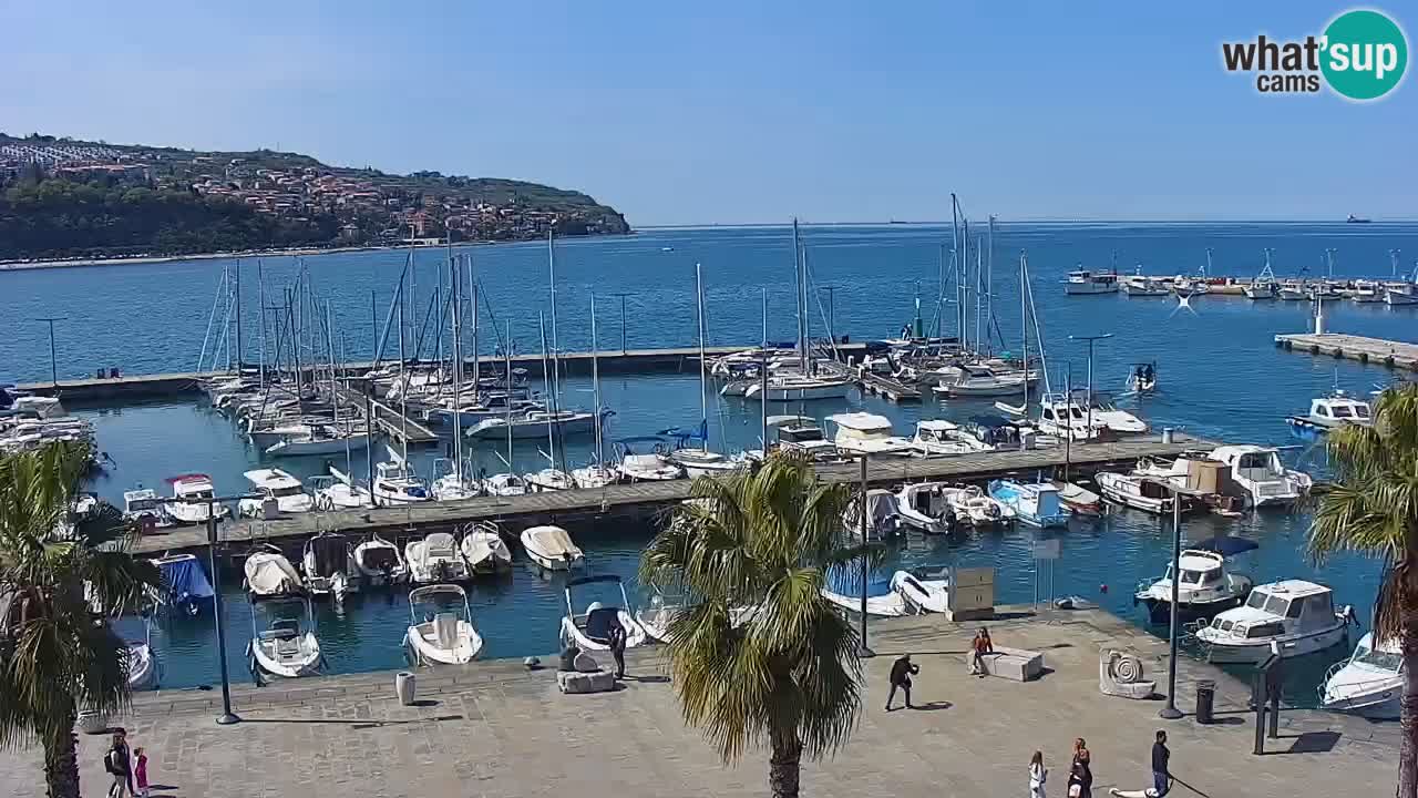 Webcam Koper – Panorama of the marina and promenade from the Grand Hotel Koper
