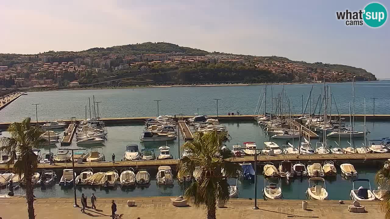 Web kamera Koper – marina i promenada – hotel Grand Koper
