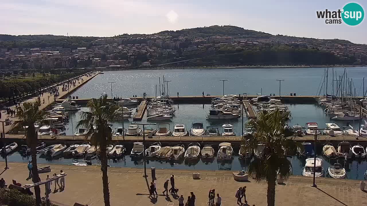 Webcam Koper – Panorama of the marina and promenade from the Grand Hotel Koper