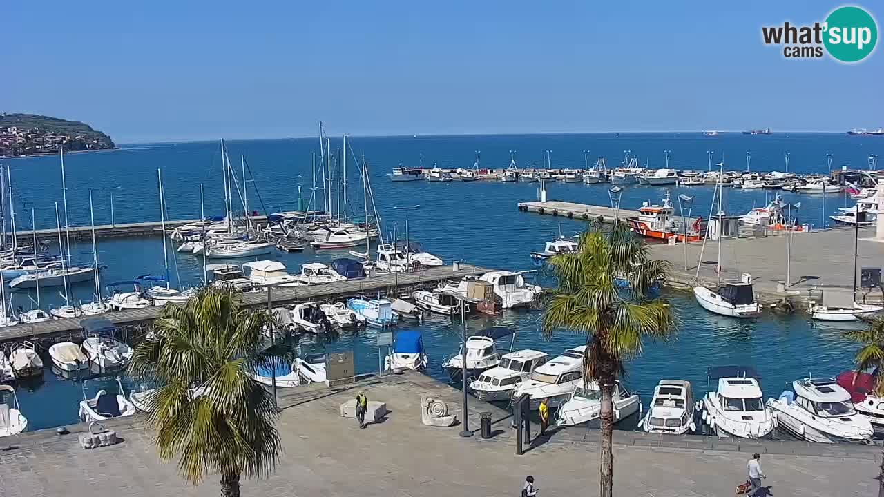 Spletna kamera Koper – Panorama na marino in promenado s Hotela Grand Koper