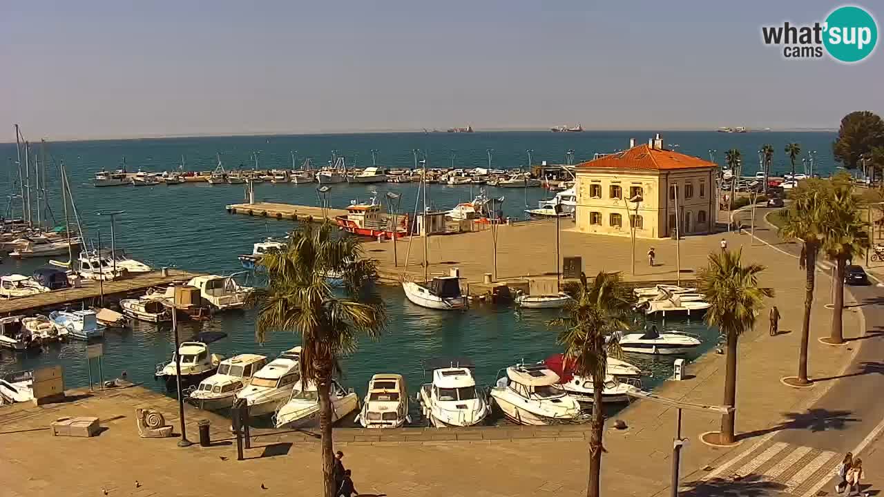 Spletna kamera Koper – Panorama na marino in promenado s Hotela Grand Koper