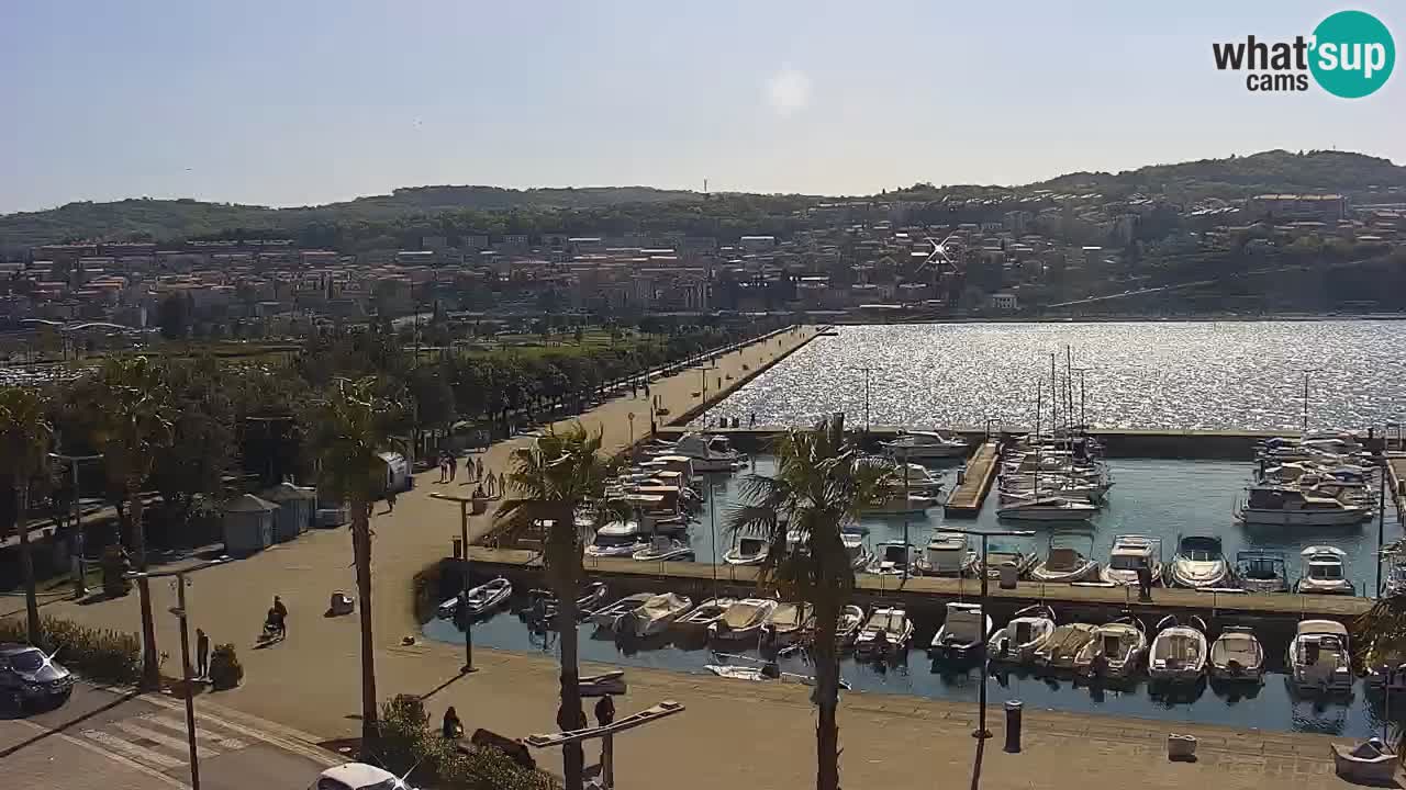 Spletna kamera Koper – Panorama na marino in promenado s Hotela Grand Koper
