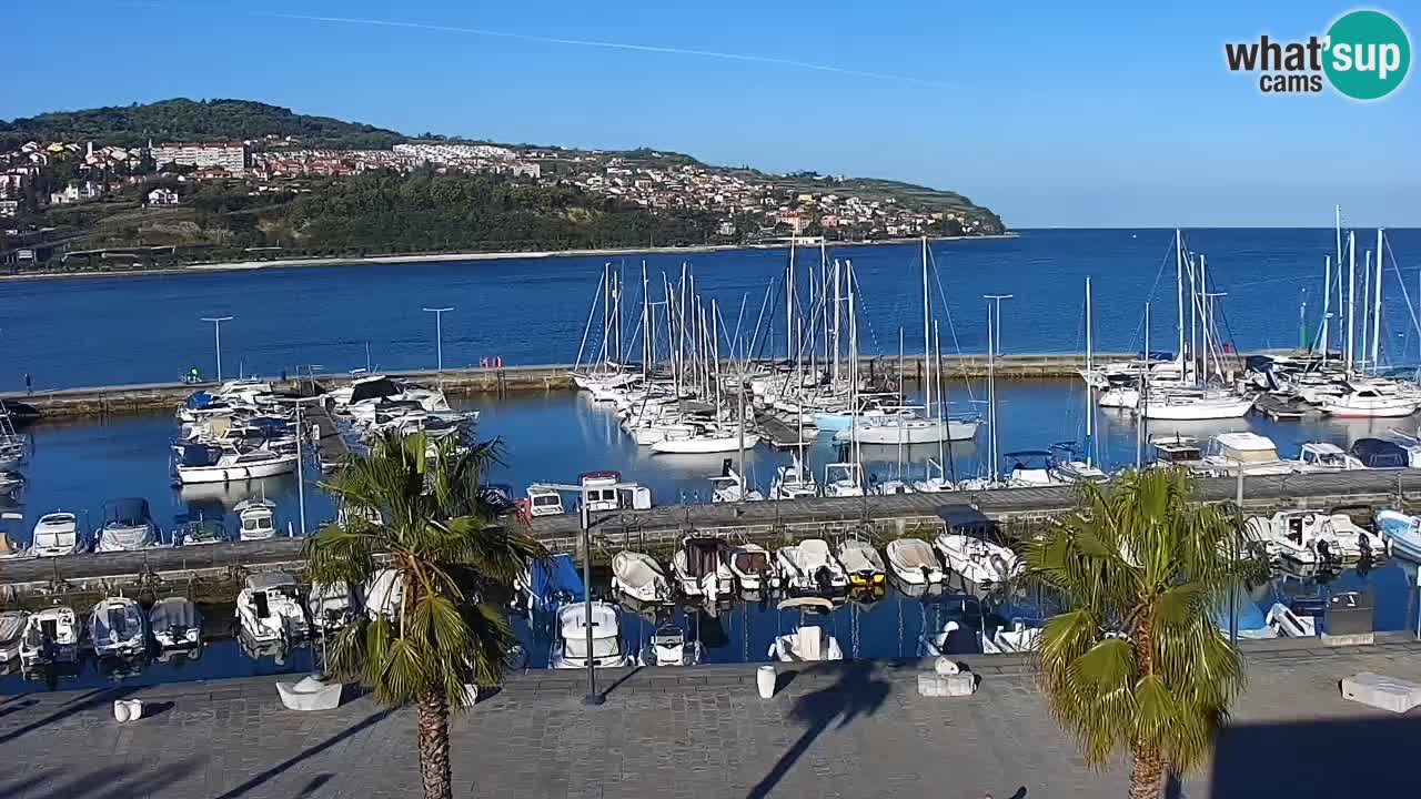 Spletna kamera Luka Koper v živo – Potniški terminal in tovorno pristanišče – Slovenija