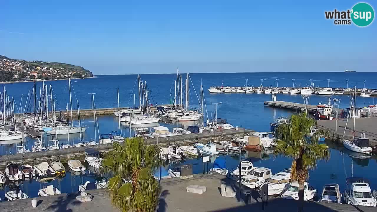 Webcam Koper – Panorama of the marina and promenade from the Grand Hotel Koper