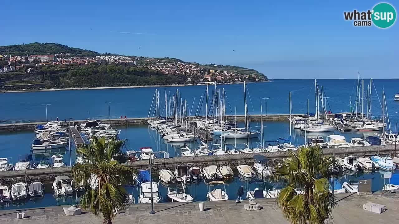 Web kamera Koper – marina i promenada – hotel Grand Koper