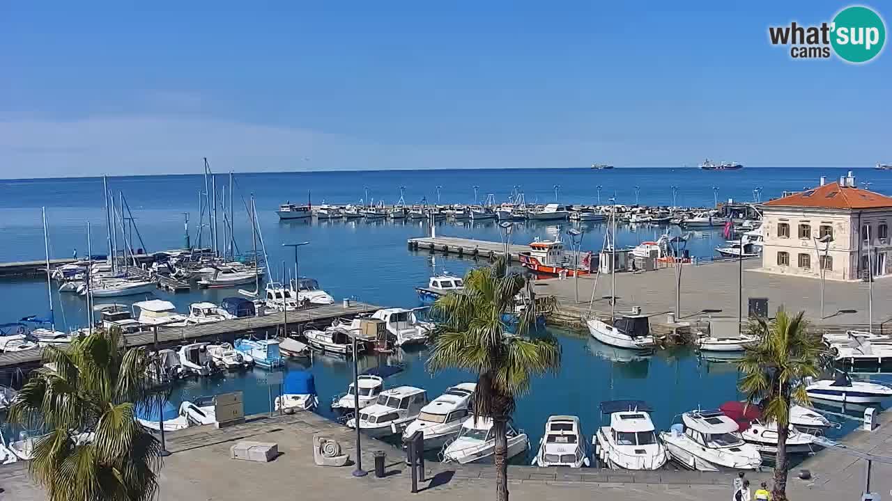 Web kamera Koper – marina i promenada – hotel Grand Koper