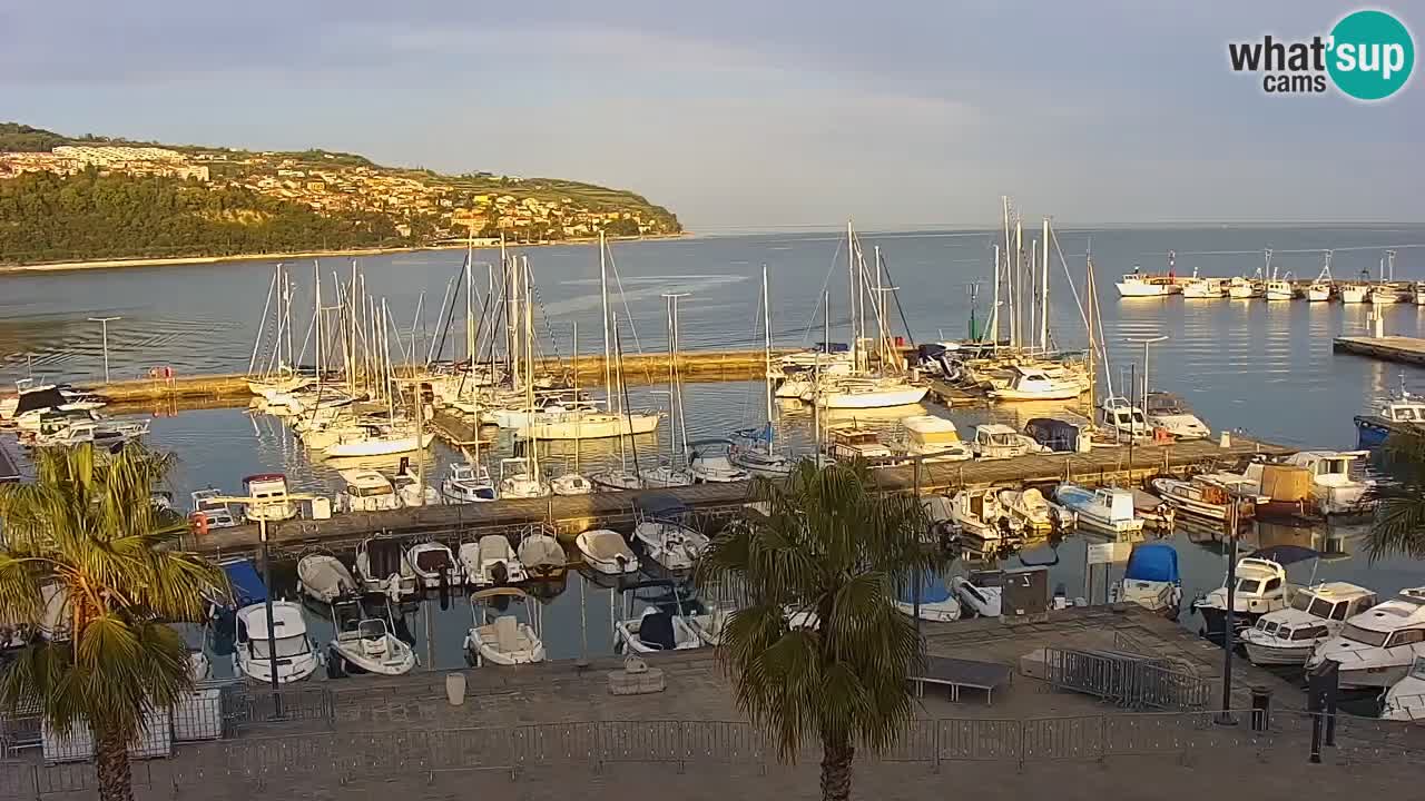 Camera en vivo Koper – puerto deportivo y paseo marítimo desde el Hotel Grand Koper