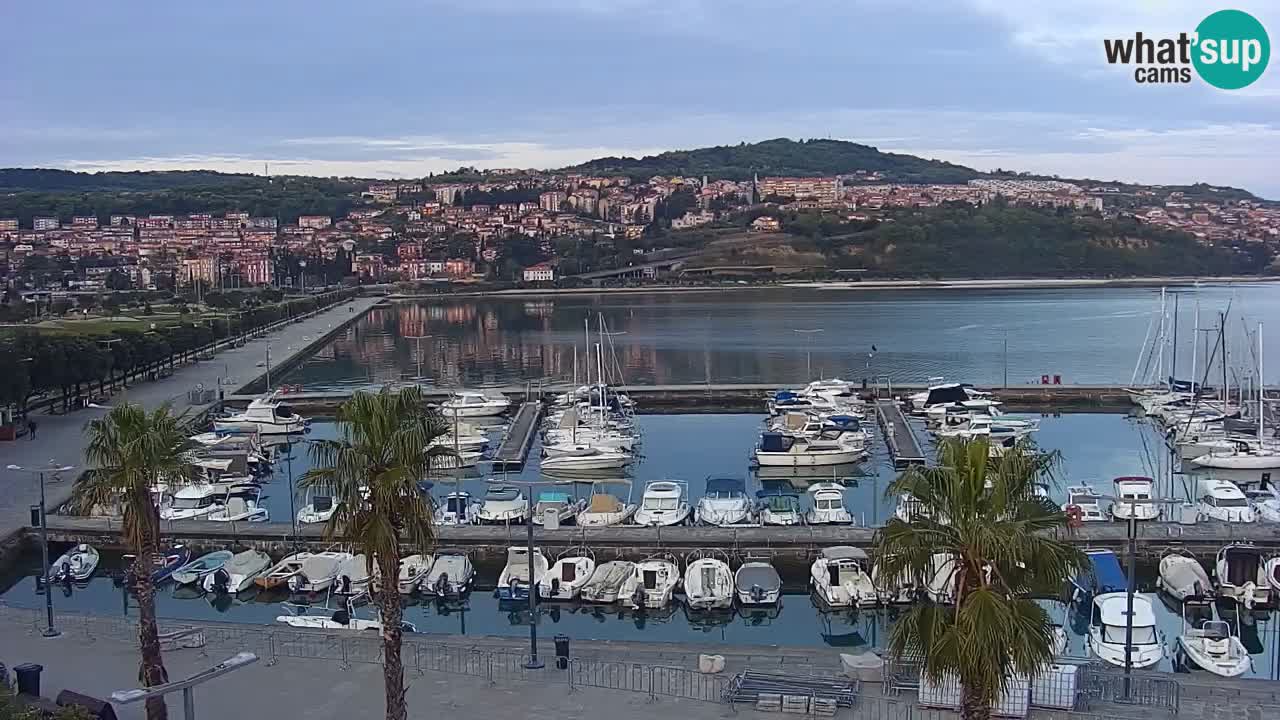 Camera en vivo Koper – puerto deportivo y paseo marítimo desde el Hotel Grand Koper