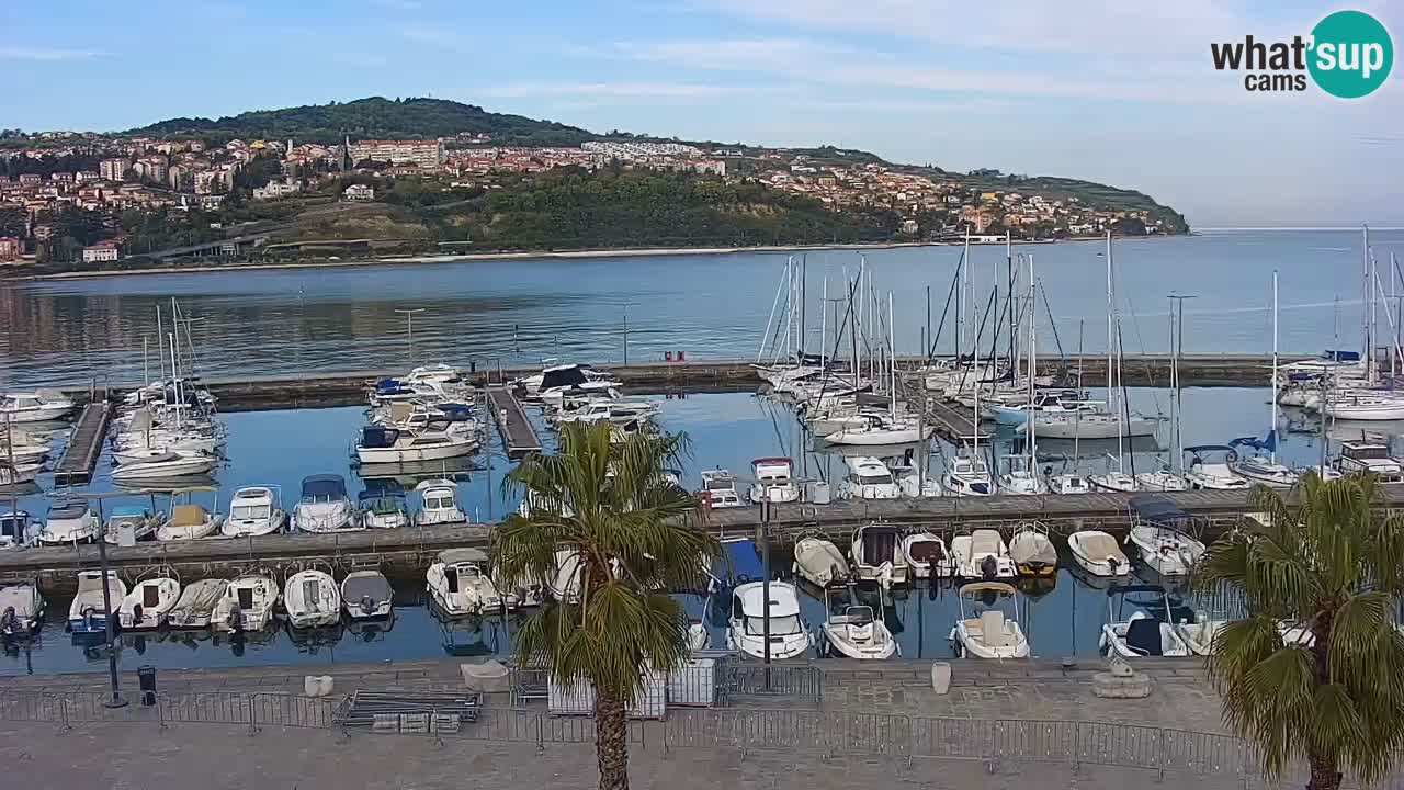 Spletna kamera Koper – Panorama na marino in promenado s Hotela Grand Koper