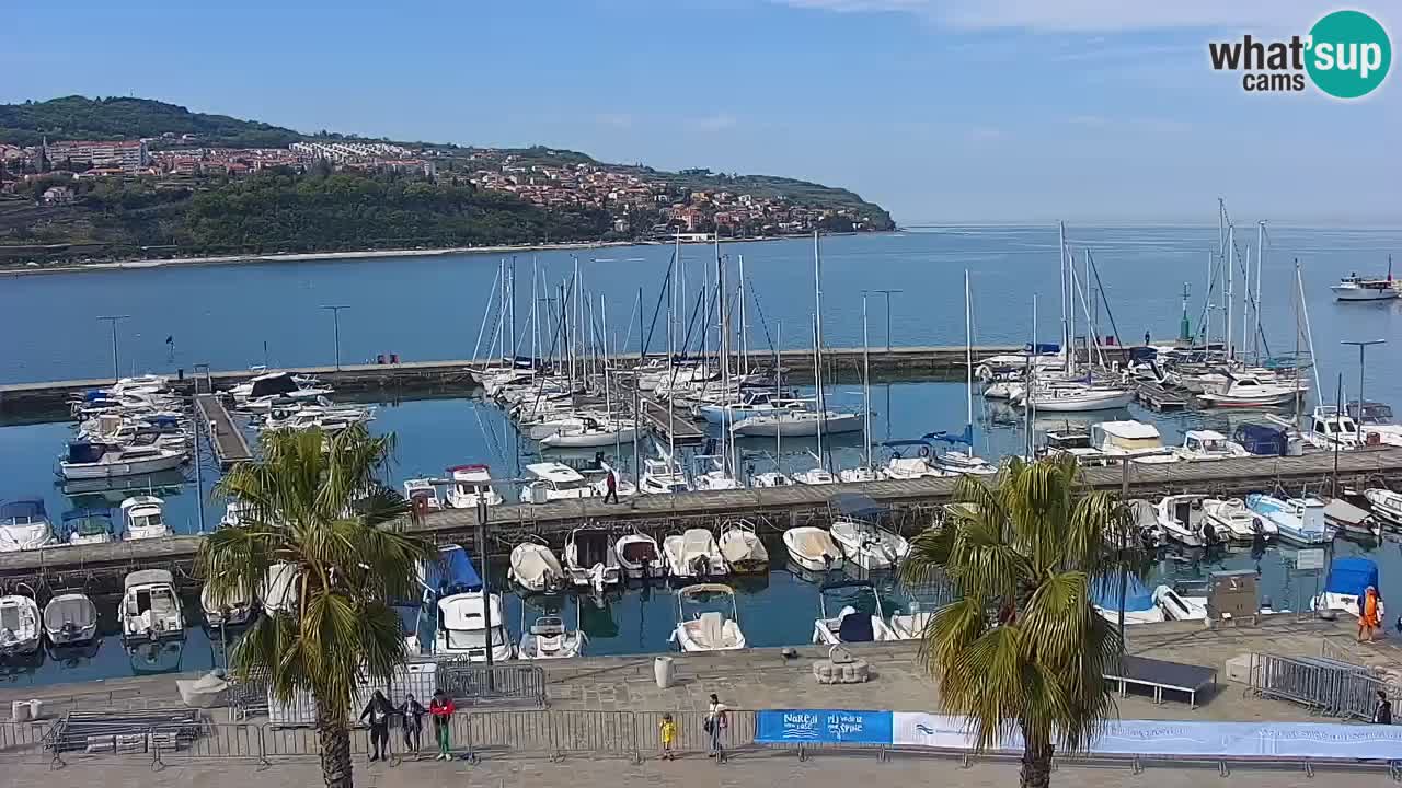 Camera en vivo Koper – puerto deportivo y paseo marítimo desde el Hotel Grand Koper