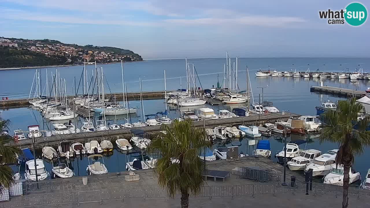 Web kamera Koper – marina i promenada – hotel Grand Koper