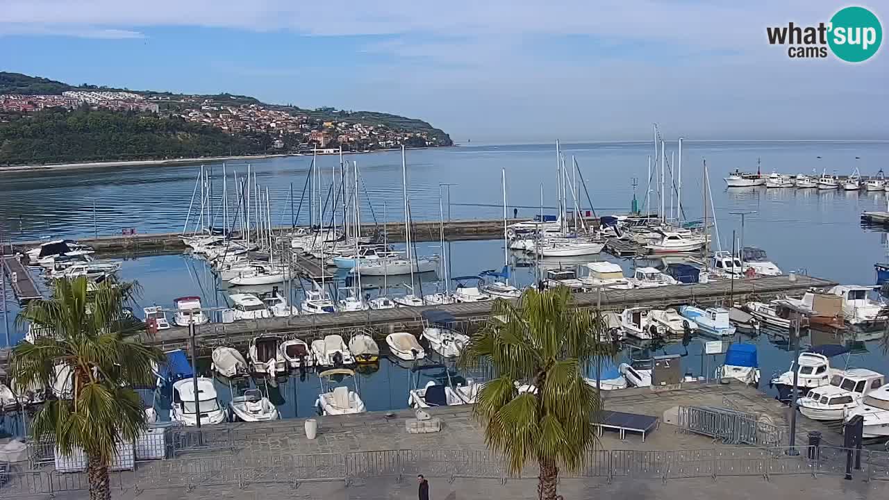 Camera en vivo Koper – puerto deportivo y paseo marítimo desde el Hotel Grand Koper