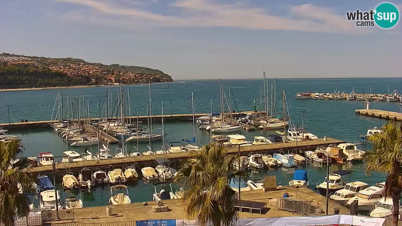 Web kamera Koper – marina i promenada – hotel Grand Koper
