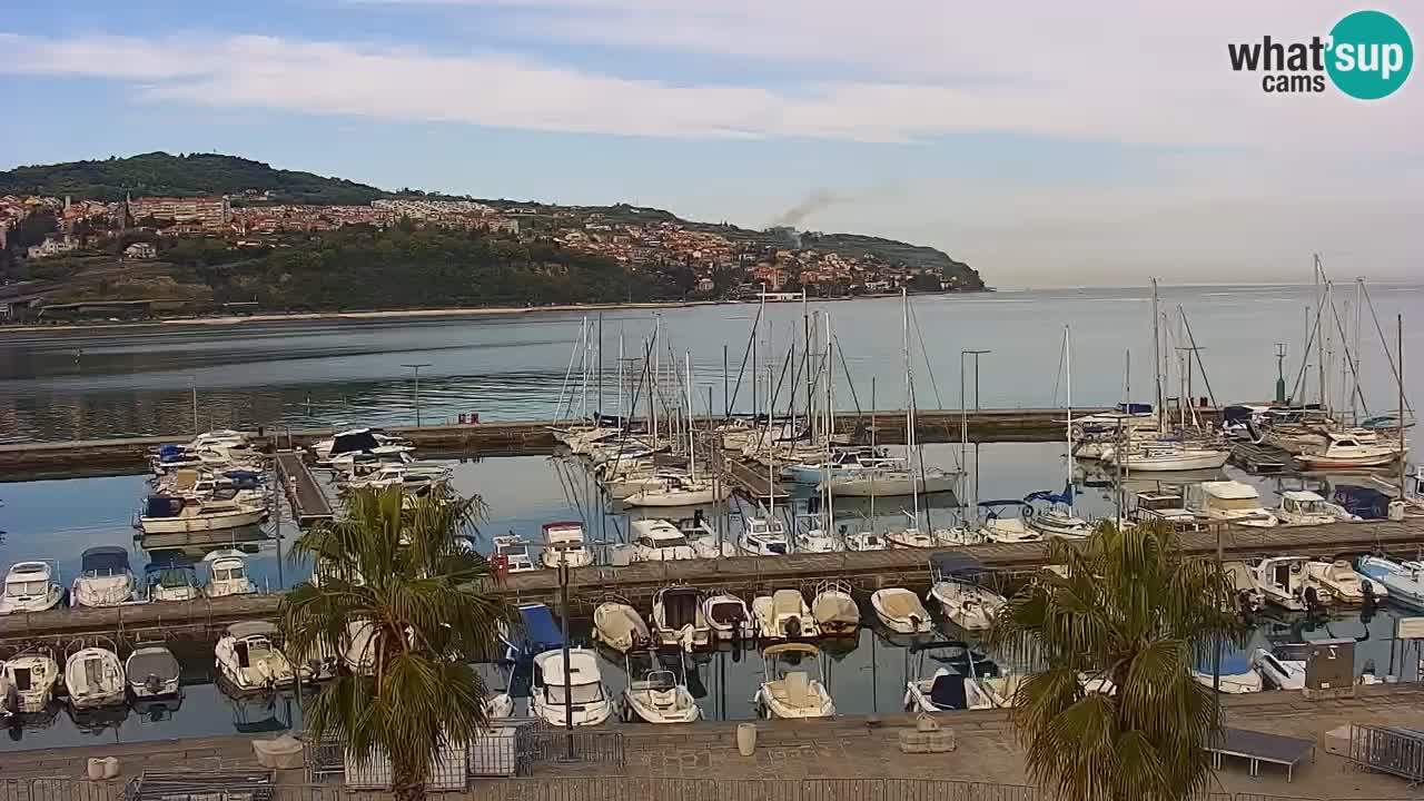 Web kamera Koper – marina i promenada – hotel Grand Koper