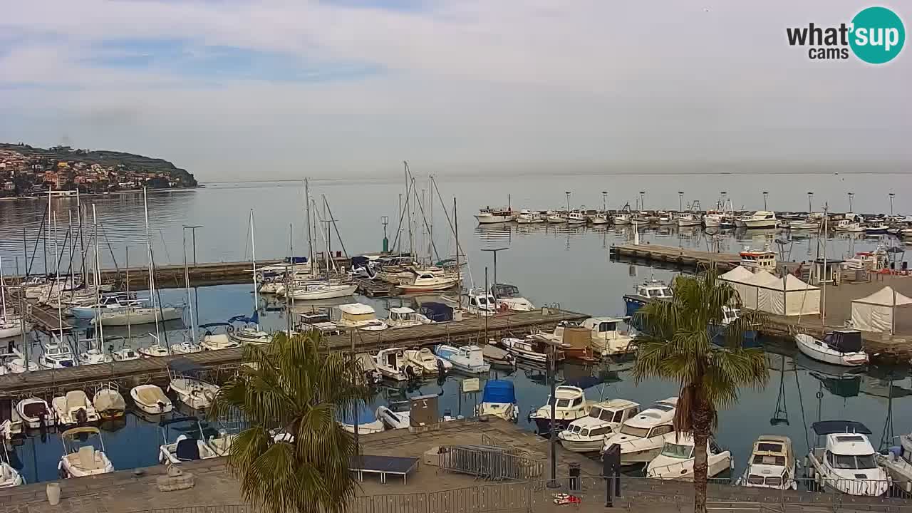 Camera en vivo Koper – puerto deportivo y paseo marítimo desde el Hotel Grand Koper