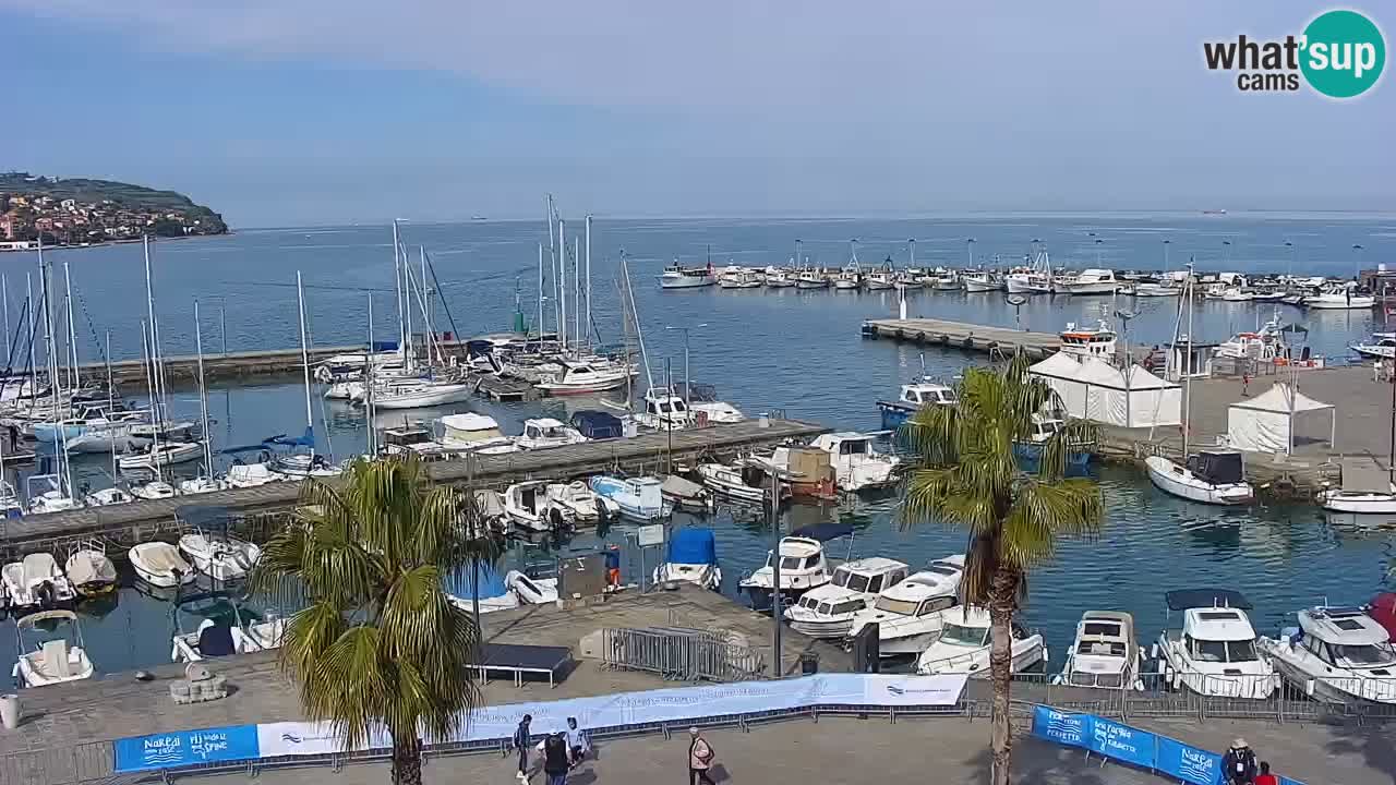 Camera en vivo Koper – puerto deportivo y paseo marítimo desde el Hotel Grand Koper