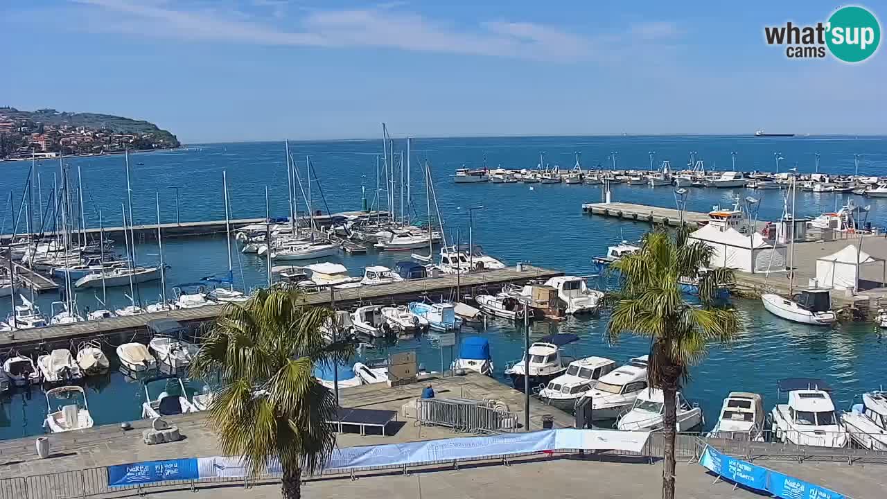 Webcam Koper – Panorama des Jachthafens und der Promenade vom Hotel Grand Koper