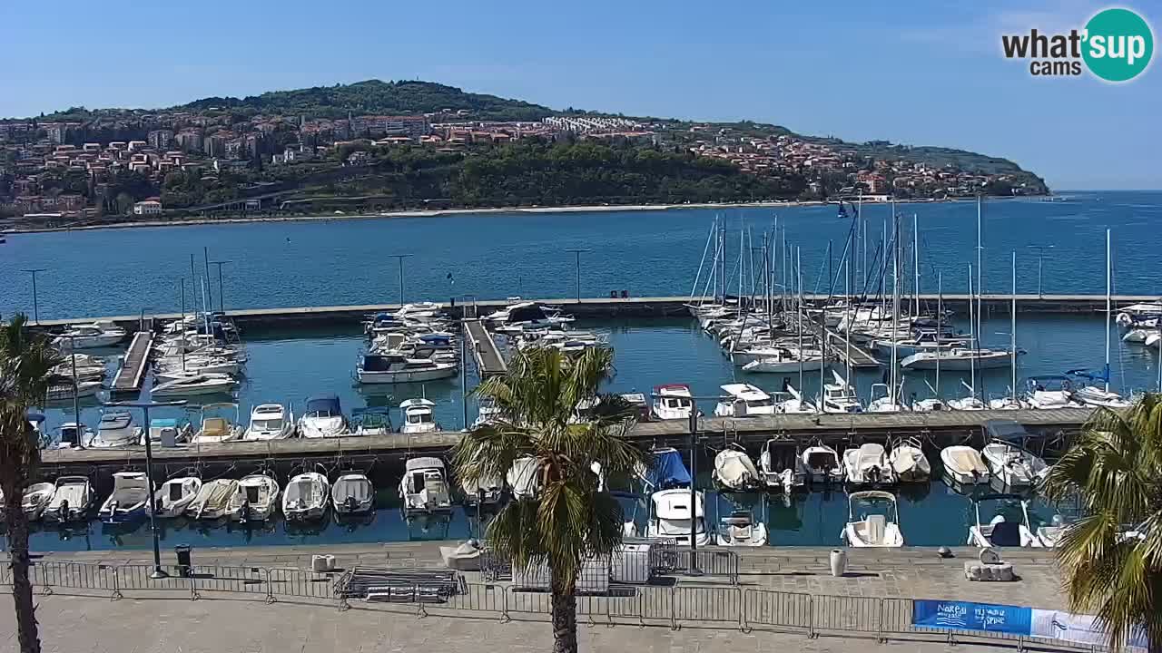 Camera en vivo Koper – puerto deportivo y paseo marítimo desde el Hotel Grand Koper