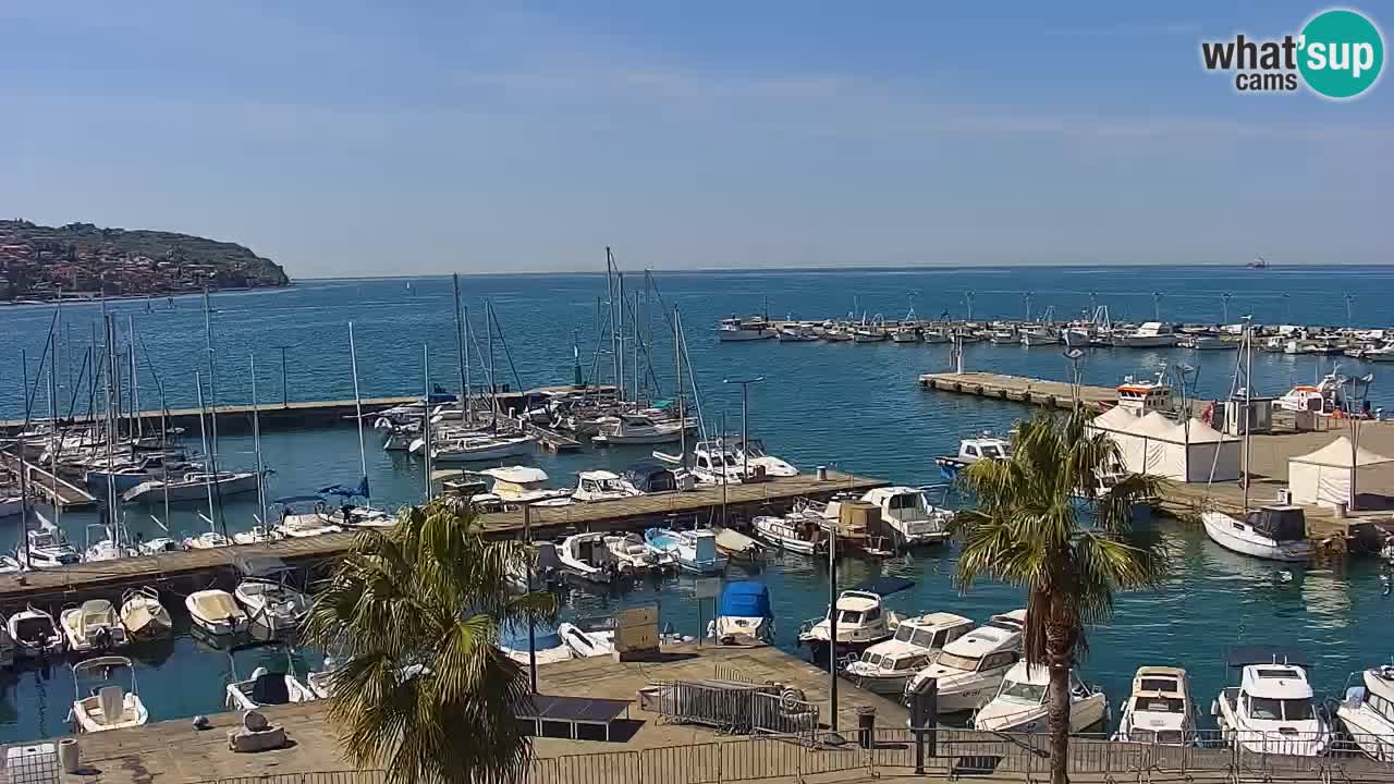 Camera en vivo Koper – puerto deportivo y paseo marítimo desde el Hotel Grand Koper