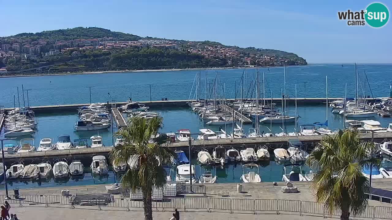 Web kamera Koper – marina i promenada – hotel Grand Koper