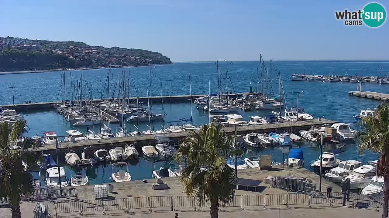 Webcam Capodistria – marina e lungo mare dall’Hotel Grand Koper