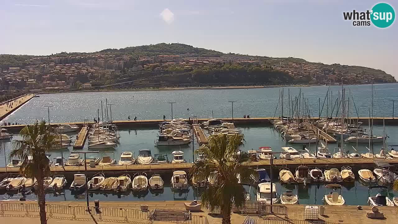 Webcam Capodistria – marina e lungo mare dall’Hotel Grand Koper