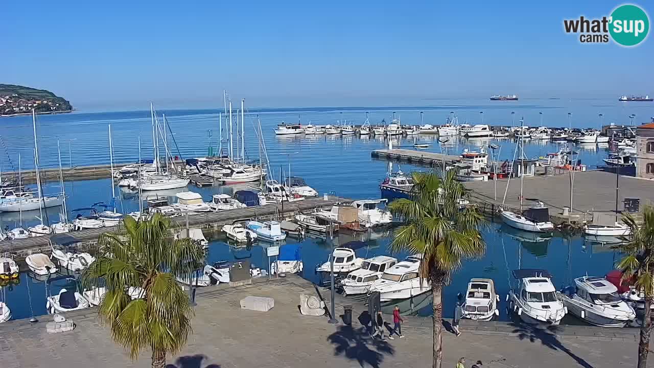 Camera en vivo Koper – puerto deportivo y paseo marítimo desde el Hotel Grand Koper