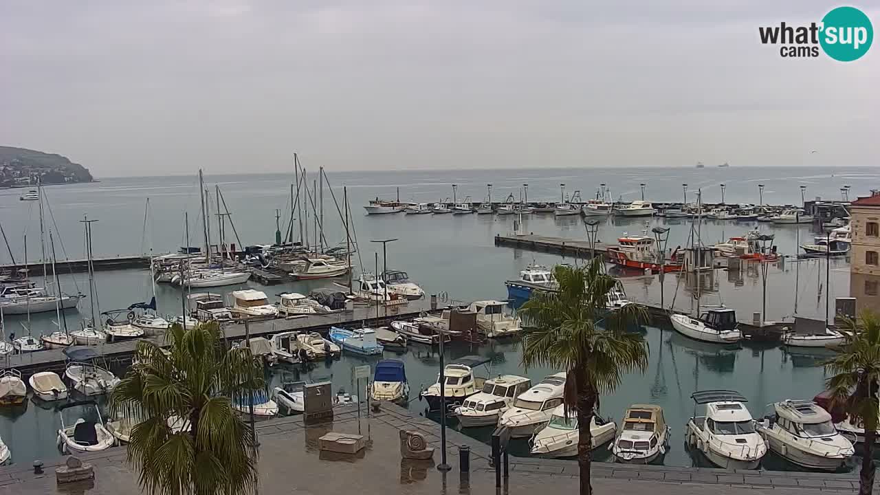 Webcam Koper – Panorama of the marina and promenade from the Grand Hotel Koper