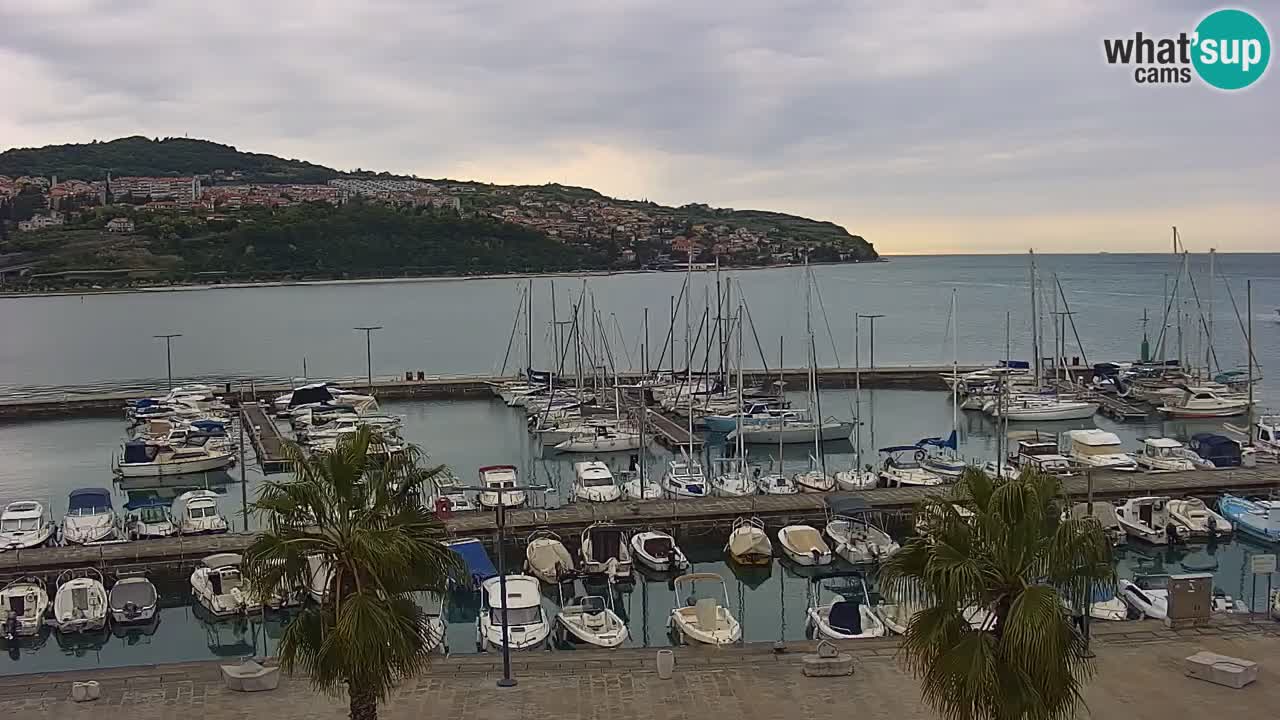 Web kamera Koper – marina i promenada – hotel Grand Koper