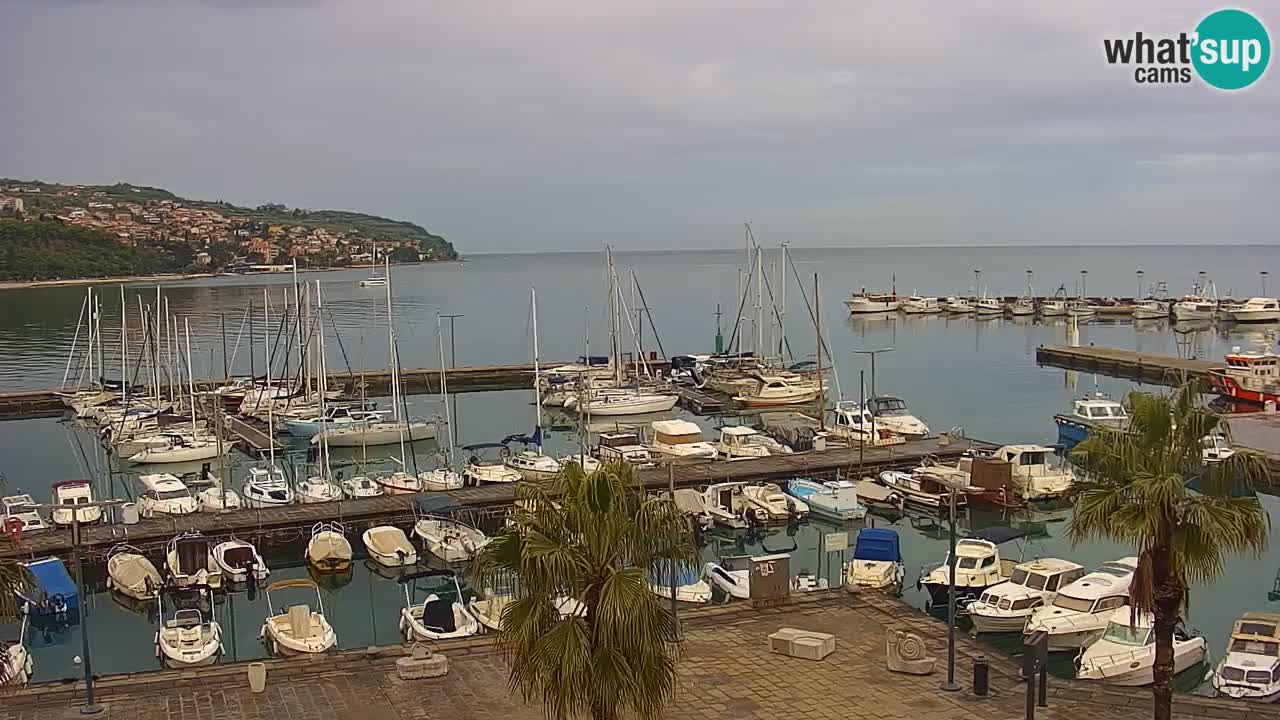 The Port of Koper live webcam – cruise and cargo port – Slovenia